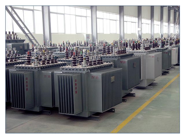 洛扎洛扎洛扎电力变压器